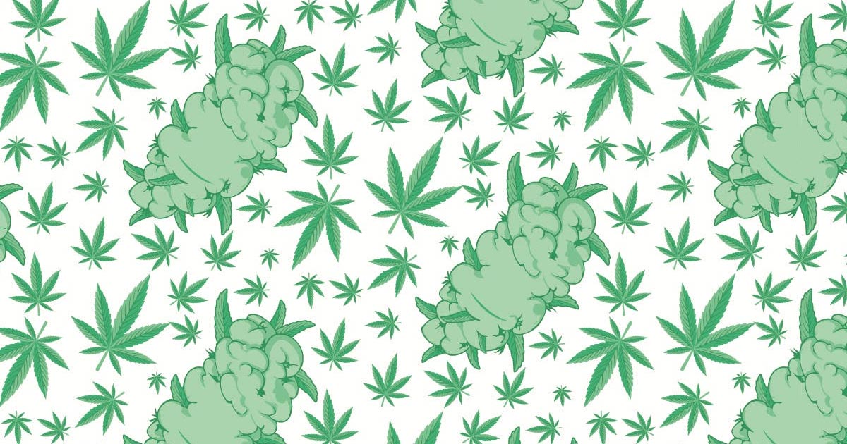 Top Cannabis Strains to Watch in 2021 Gain Popularity Across the U.S