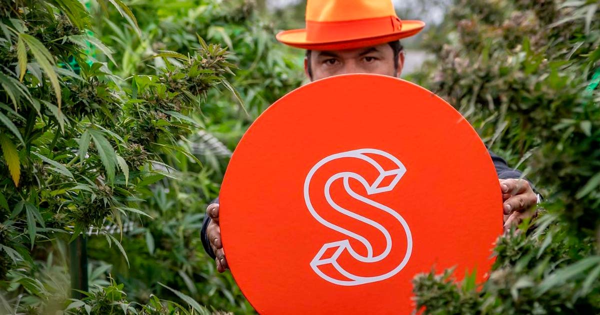 Silent Seeds and Sherbinski Launch Five New Cannabis Strains