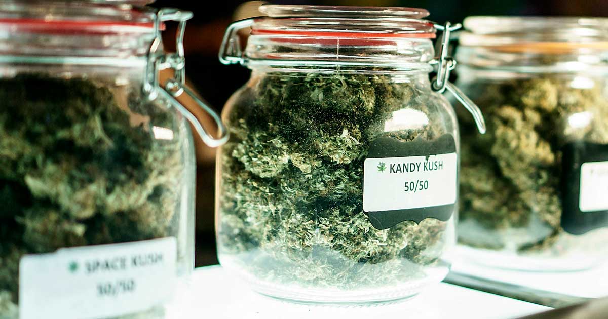 Strict Regulations Hinder Launch of Cannabis Clubs in Malta