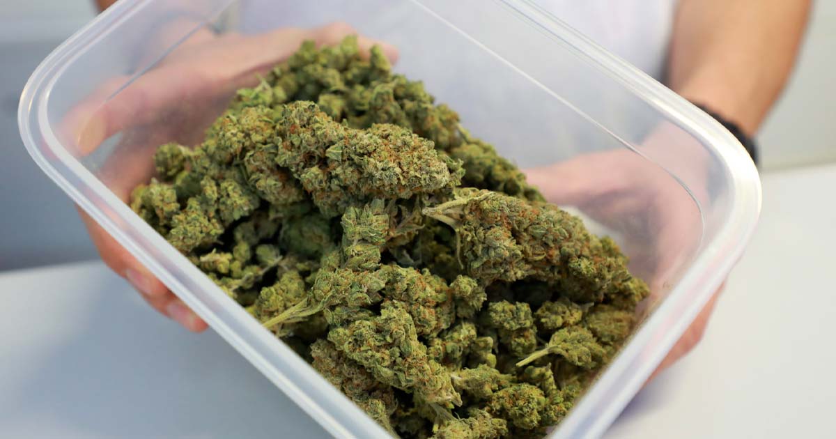 Luxembourg Advances Cannabis Legalization with New Pilot Project