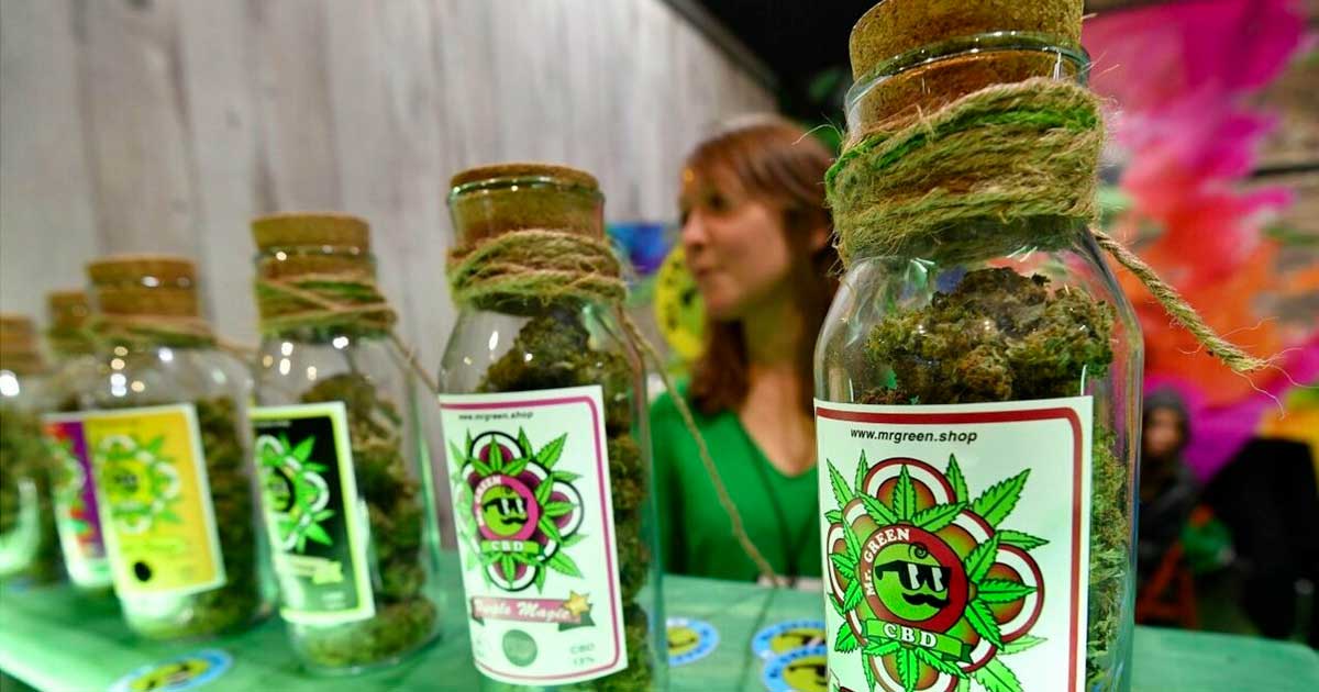 Italian Government Proposes Monopolistic Control Over Cannabis Light