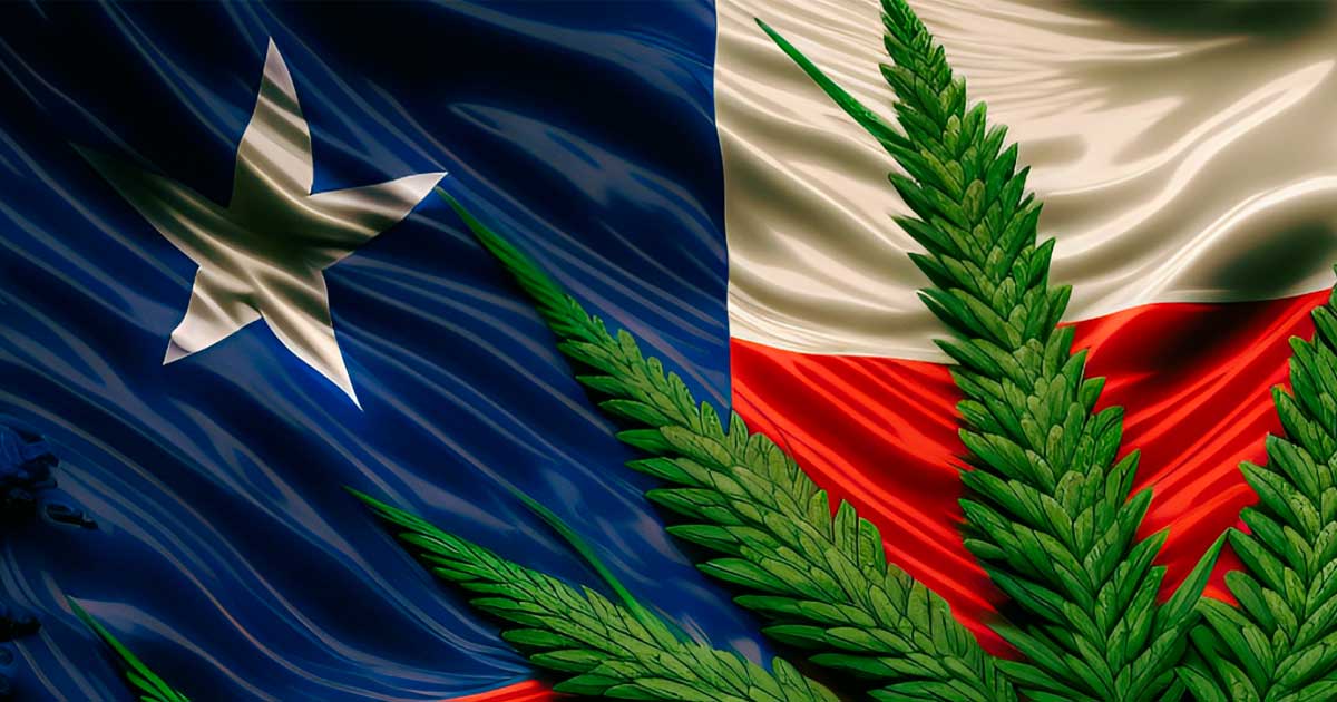 Chilean Lawmakers and Prosecutors Open Dialogue on Cannabis Legalization