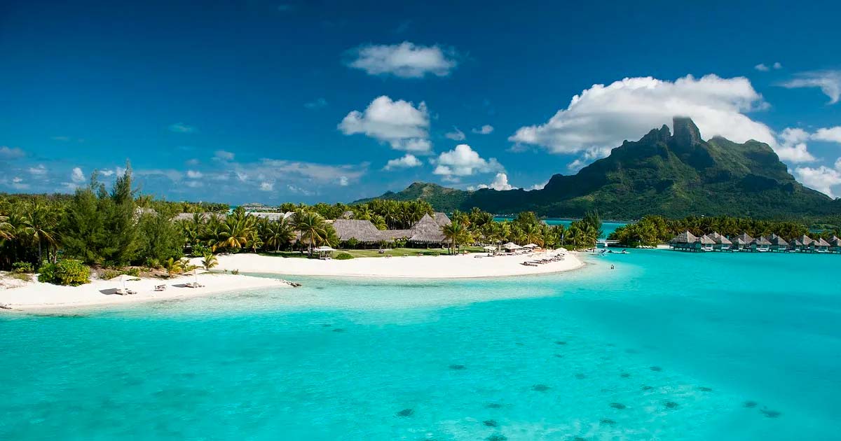 Polynesian Government Advances Cannabis Legislation with Strategic Discussions