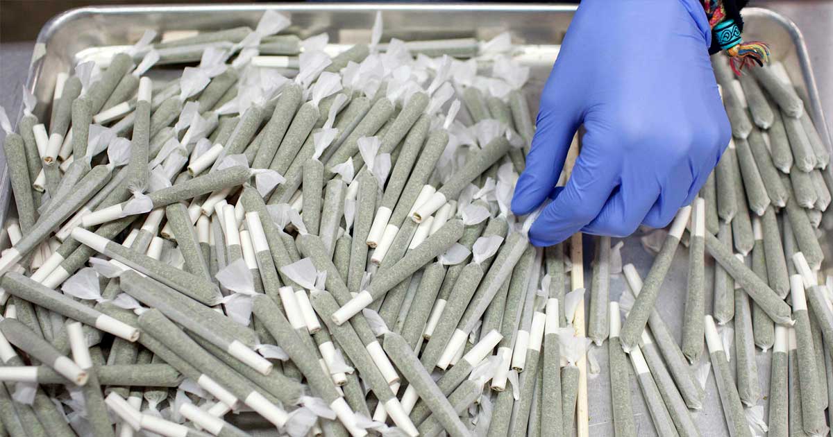 Washington State Launches Portal for Drug Conviction Refunds After Court Ruling