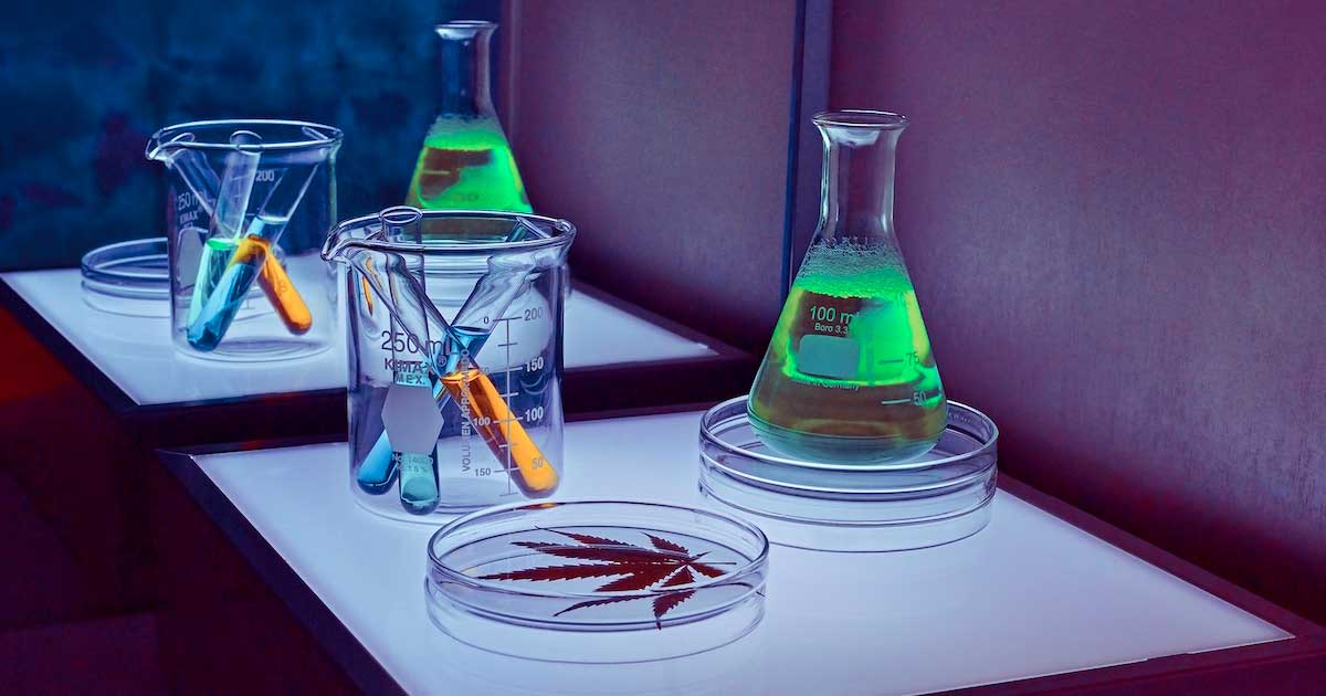 New Studies Highlight Cannabis Benefits for Anxiety, ADHD, and Fibromyalgia