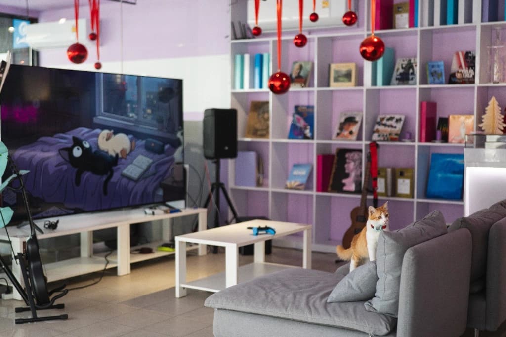 Library lounge with seating, TV and floor-to-ceiling bookshelves