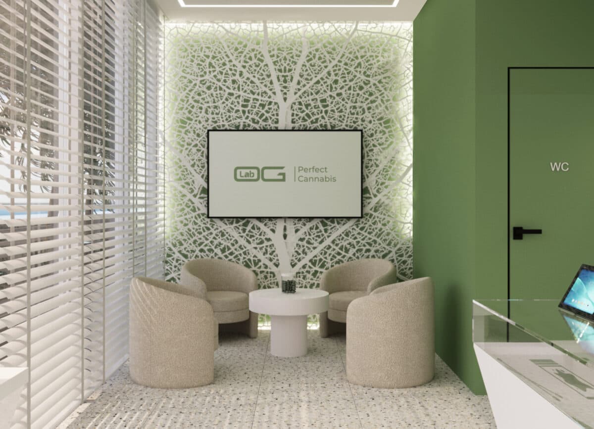 OG Lab — зона консультаций