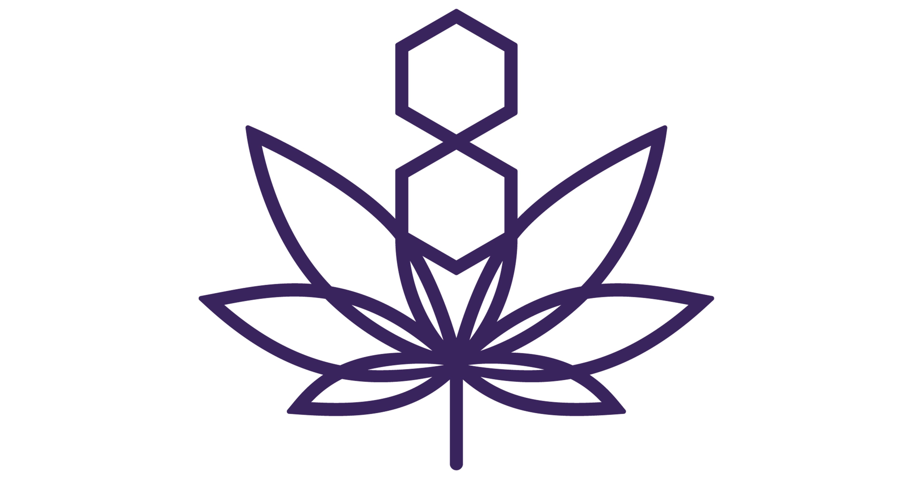 2025 Brings Major Shifts in Cannabis and Hemp Regulations Across the US