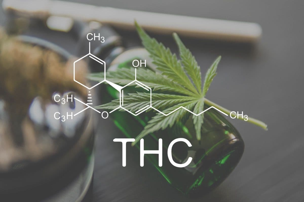 Green Wednesday 2025: A Comprehensive Look at THC Research and Market Trends