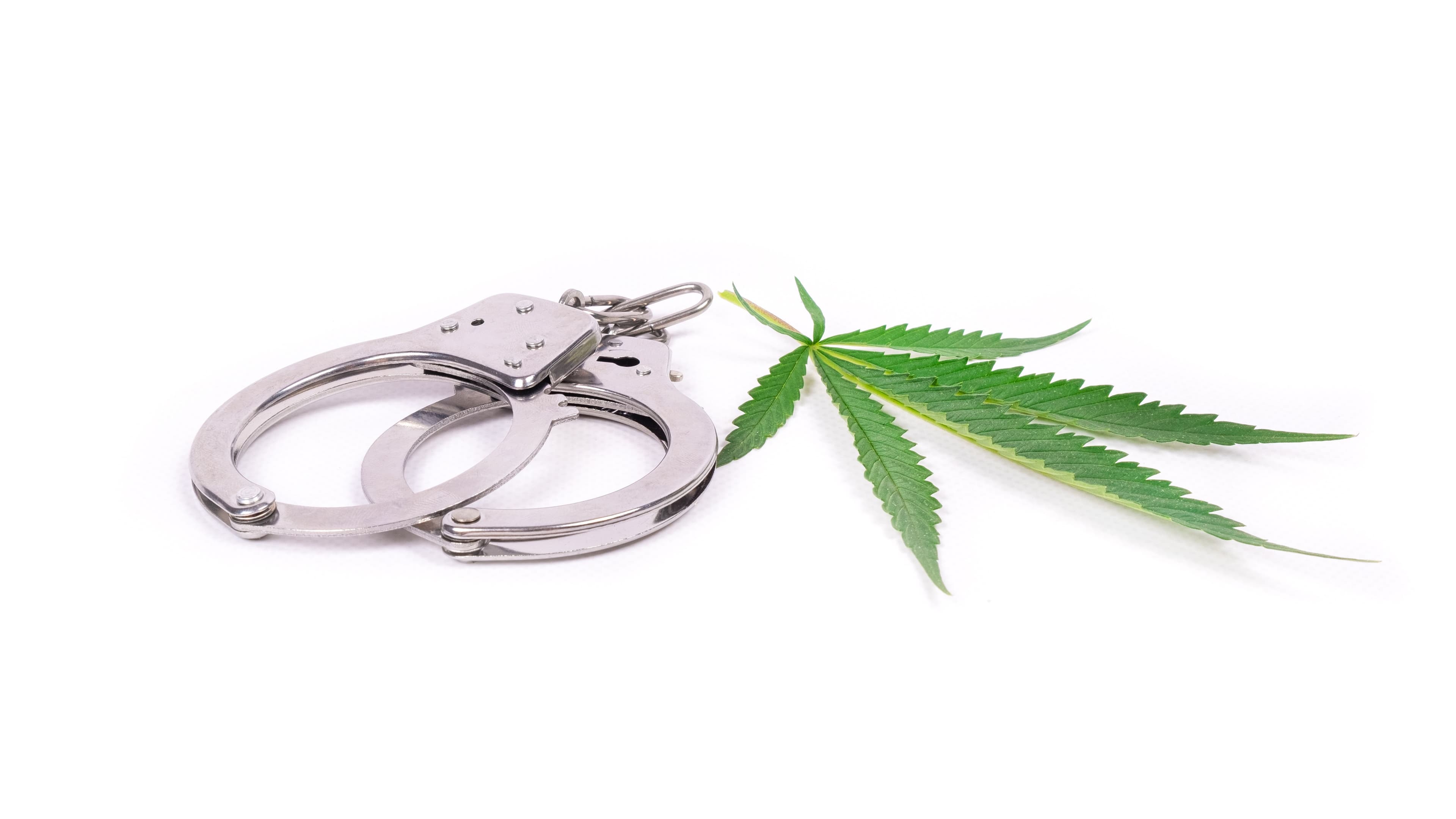 Wyoming US Attorney to Prosecute Cannabis Possession on Federal Lands