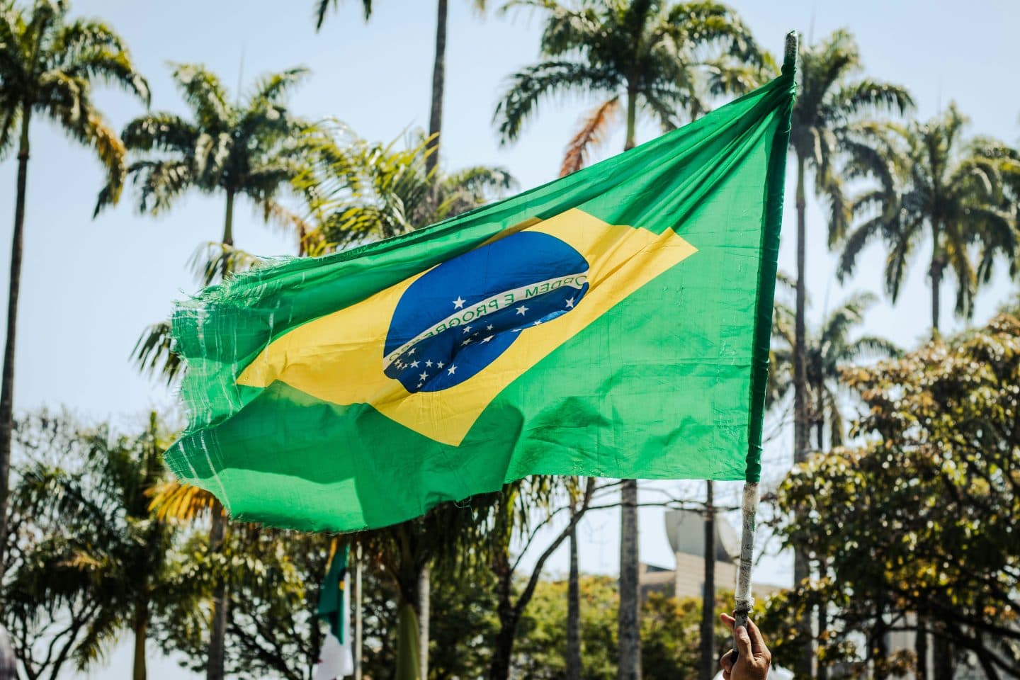 Cannabis Events in Brazil Surge, Redefining Regional Dynamics