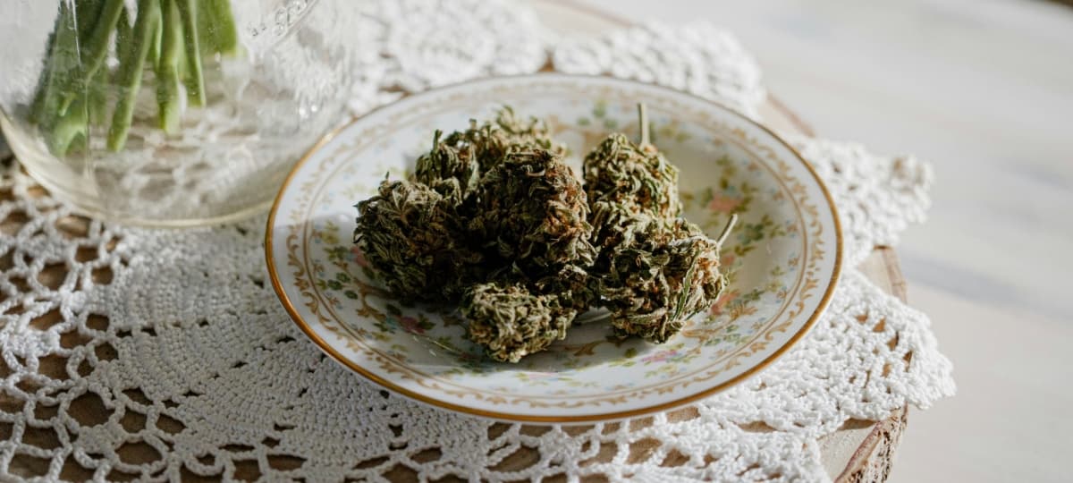 Cannabis Culture Faces Fragmentation Amid Industry Evolution