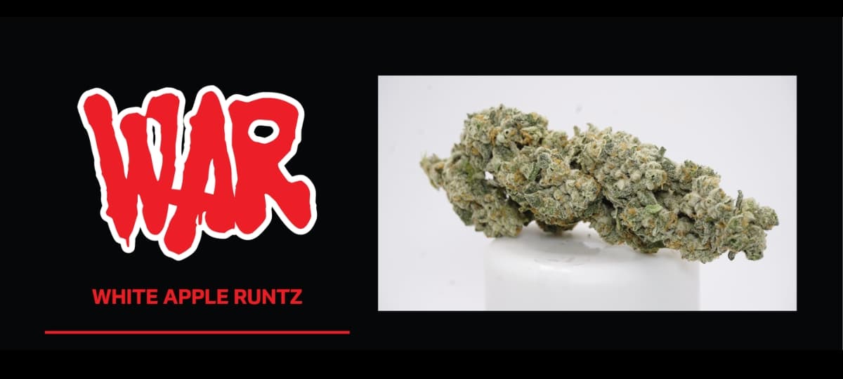 Skyworld ร่วมมือกับ Last Prisoner Project เพื่อสนับสนุนความยุติธรรมด้านกัญชา