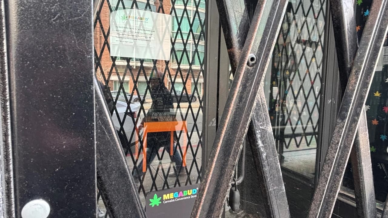 US Cities Reevaluate Cannabis Business Licenses Amid Market Challenges