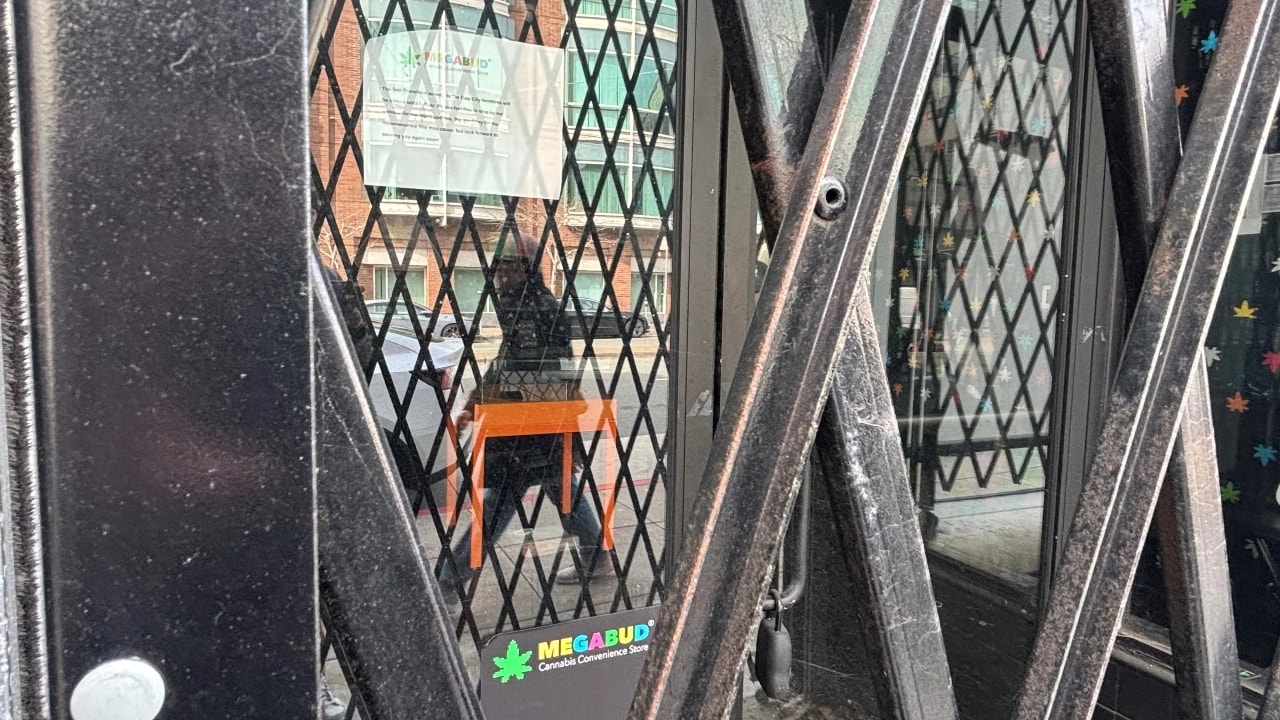 US Cities Reevaluate Cannabis Business Licenses Amid Market Challenges