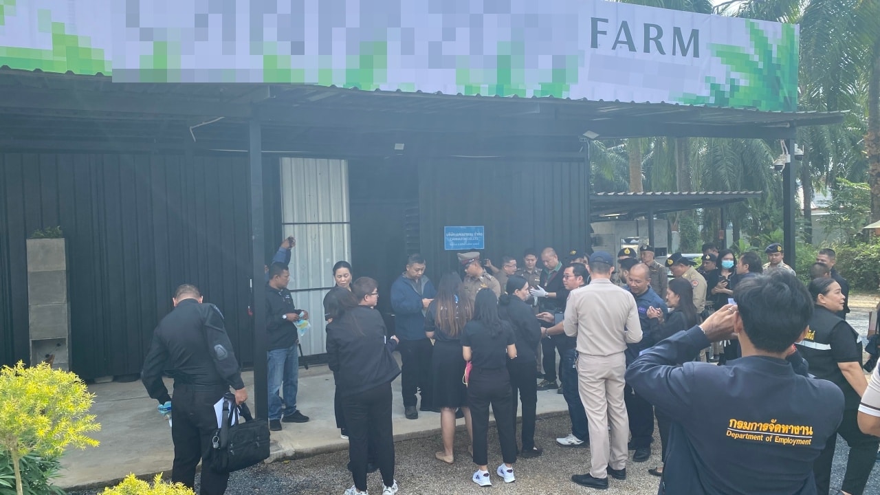 Krabi Governor Suspends Cannabis Farm License Amid Legal Violations