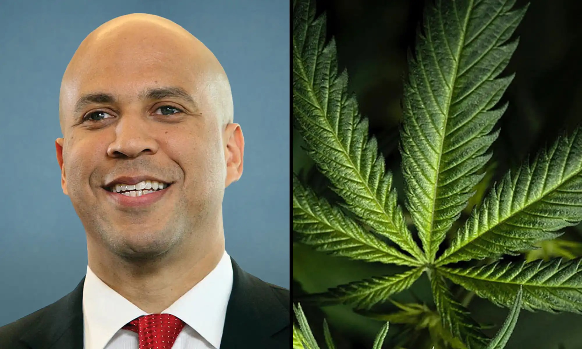 Senador Cory Booker bromea que las papas fritas de McDonald’s son más adictivas que la marihuana y renueva impulso por reforma cannábica