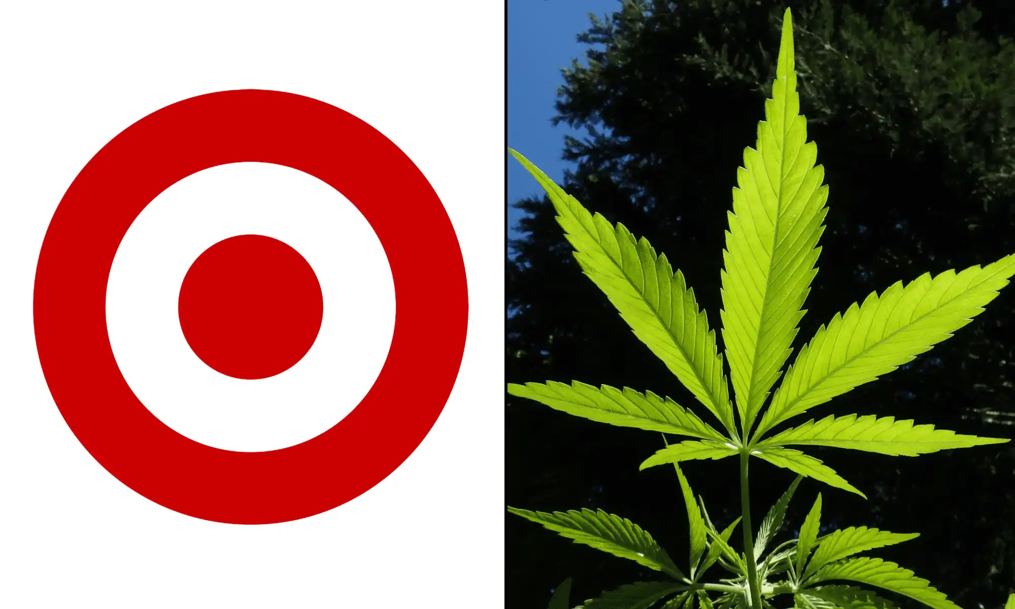 Target amplía ventas de bebidas con THC derivado del cáñamo en Illinois, Florida y Texas