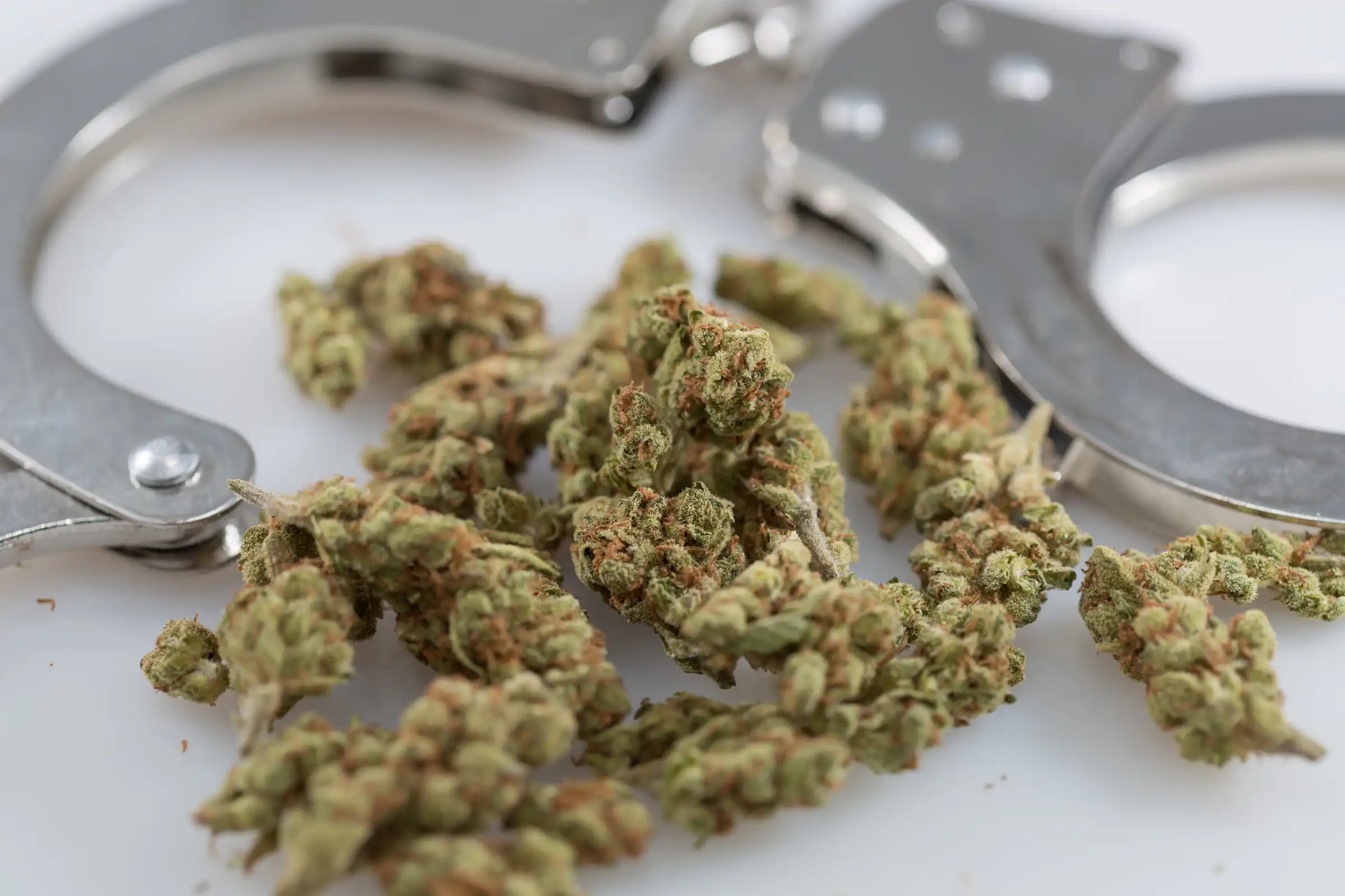Policías de Jersey City siguen fuera de servicio tras fallo judicial sobre uso de cannabis