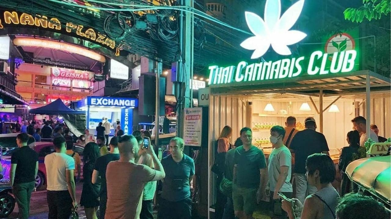 Thailand Mandates Doctors in Cannabis Shops to Ensure Medical Compliance