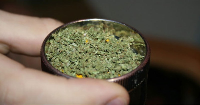 Innovative Methods for Grinding Cannabis Without a Traditional Grinder