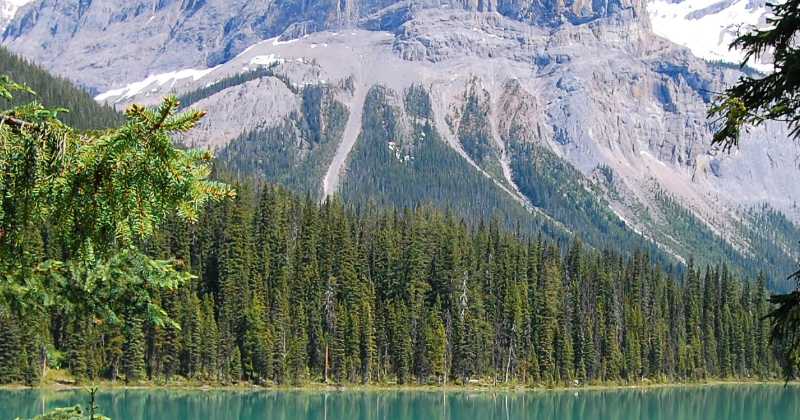 Legal Cannabis in Canada Costs 80% More Than Black Market Alternatives