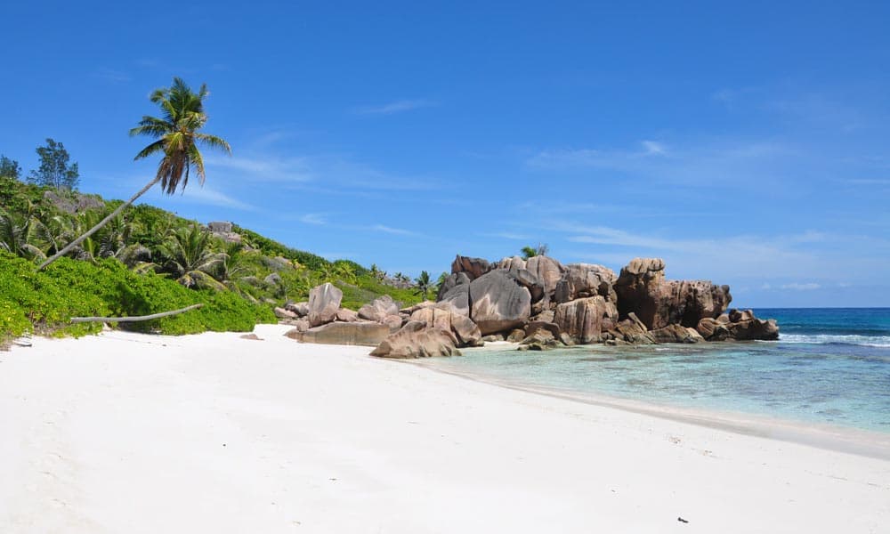 Seychelles Set to Implement Medical Cannabis Regulation by July 2023