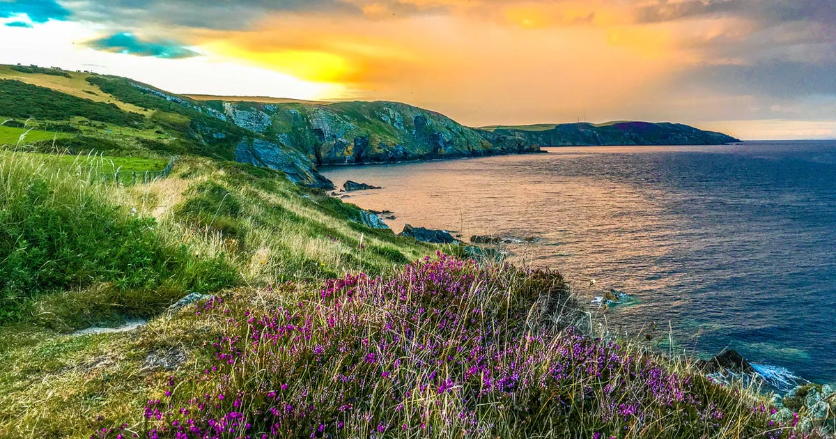 Isle of Man Explores Cannabis Export Market to Boost Economy