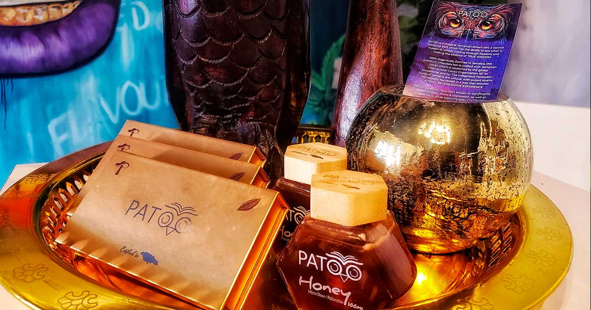 La Jamaïque Introduit des Produits Légaux de Psilocybine en Pharmacies Grâce au Partenariat PATOO et Fontana