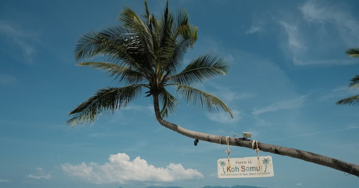 Samui Wetterbericht: Milde Schauer und kühle Brisen