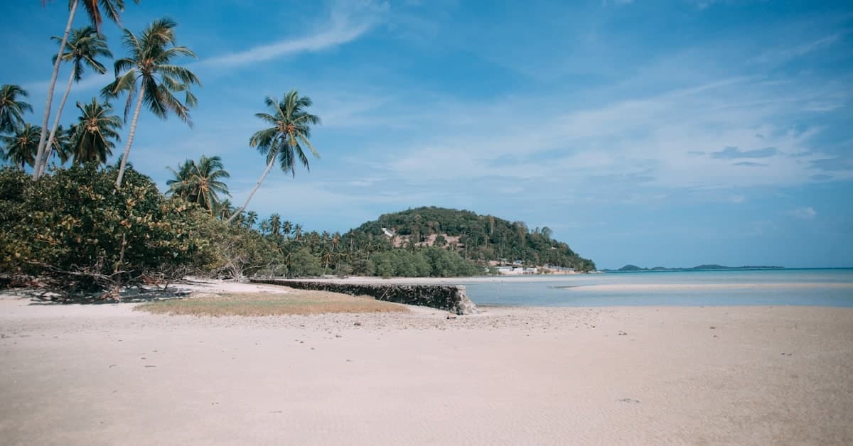 Art Brunch by the Sea at Sassy SAMUI Beach Bar on July 11