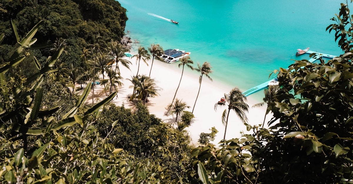 Musica dal Vivo ed Eventi Culturali a Koh Samui Questo Mese