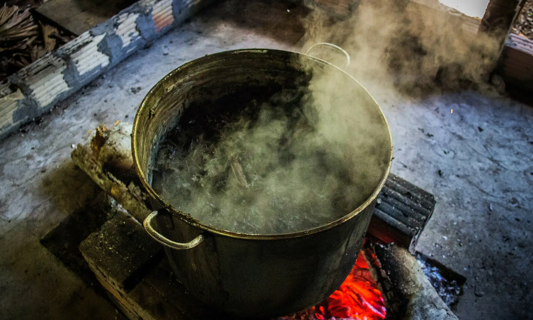 סוכן פדרלי בדימוס משתף כיצד טיפול פסיכדלי שינה את ניהול האבל