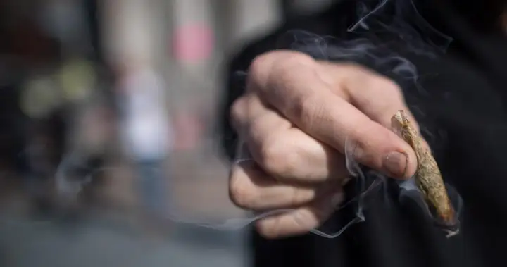 การบริโภคกัญชาในควิเบกลดลง โดยเฉพาะในกลุ่มเยาวชน