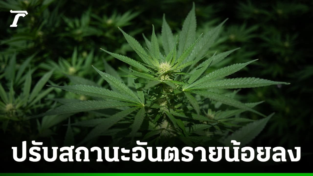 USA ändern Cannabis-Status: Was deutsche Touristen und Patienten wissen müssen