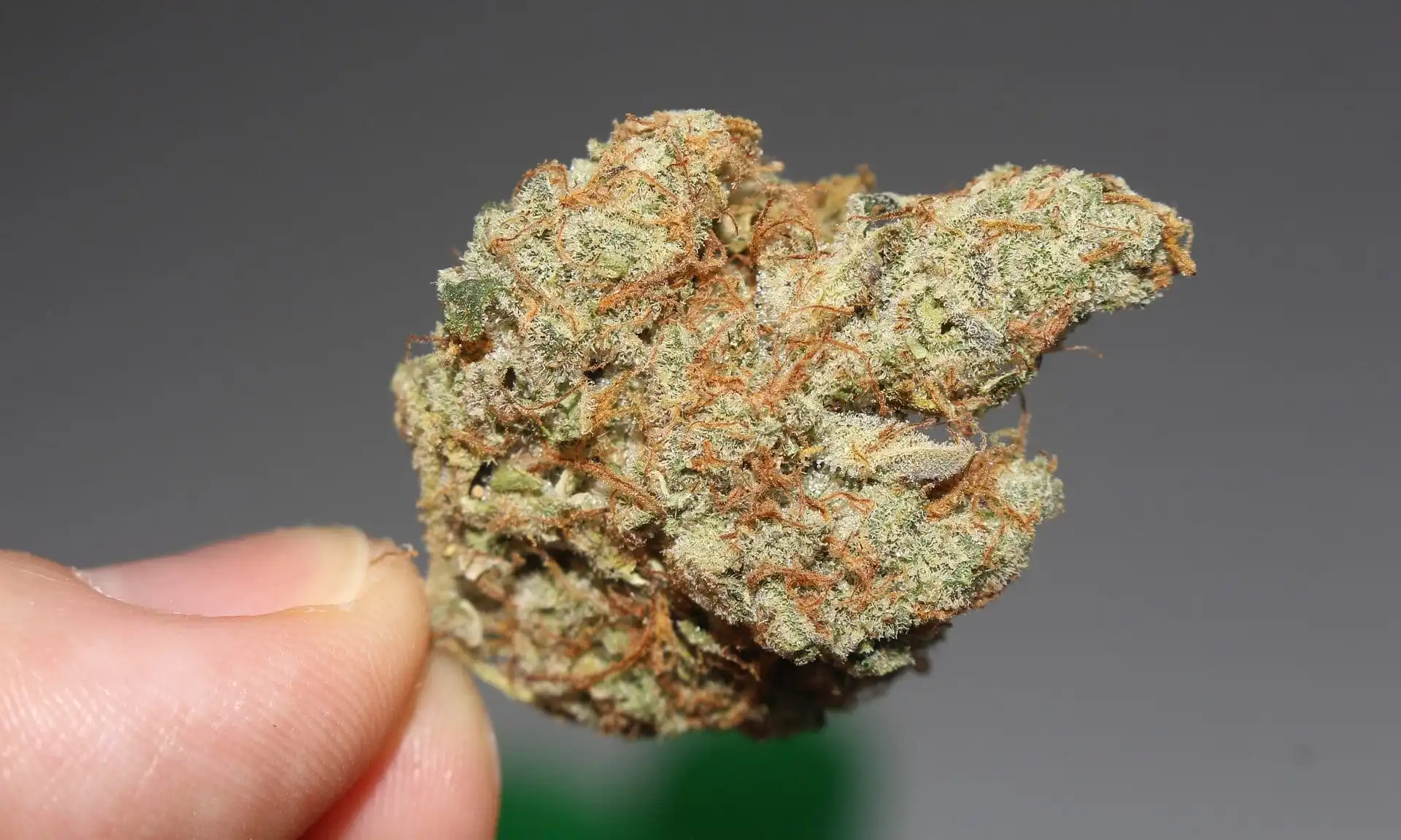 Il Senato della Louisiana approva legge per uso di marijuana medica in ospedale per pazienti terminali