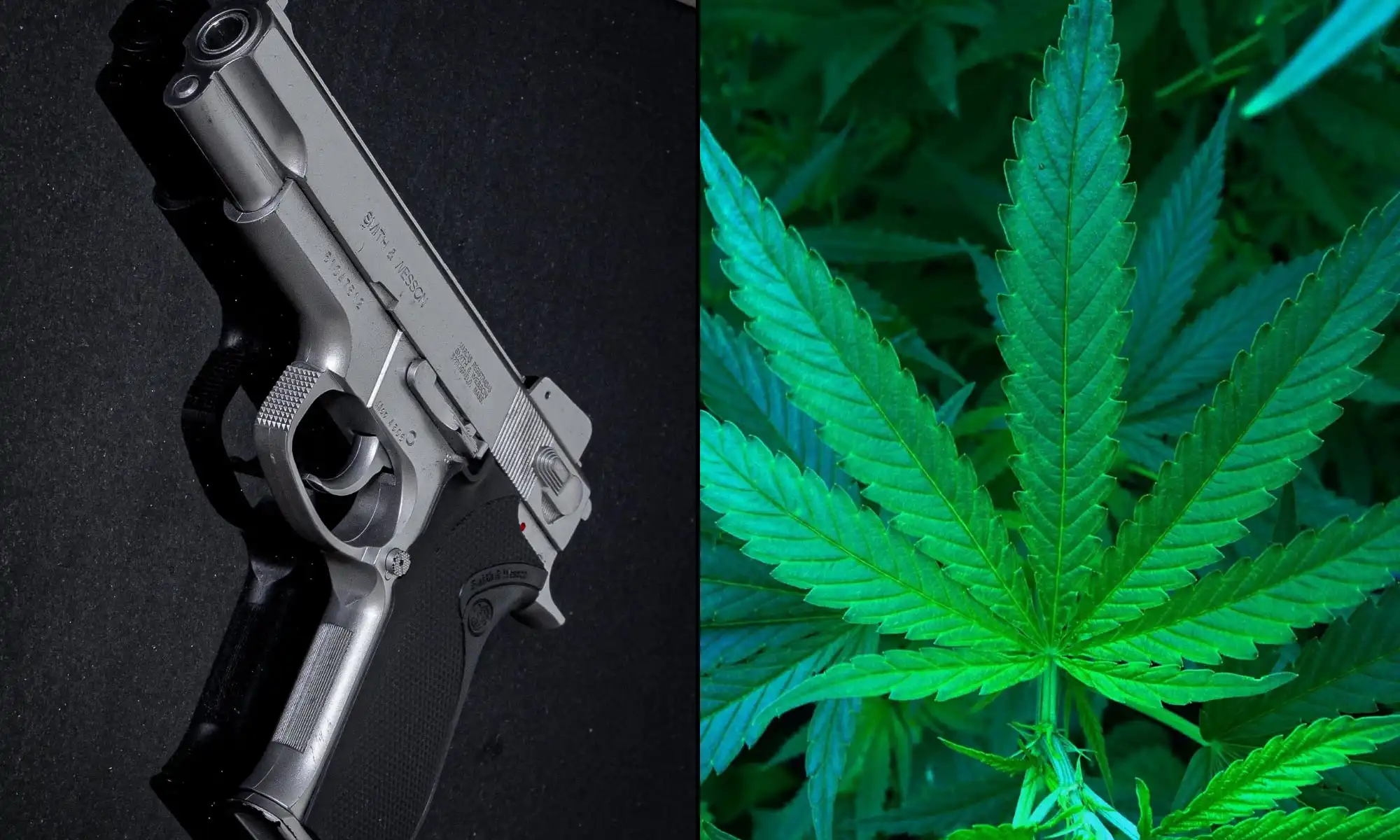 Neue ATF-Waffenformular aktualisiert medizinisches Marihuana im Bundesrecht