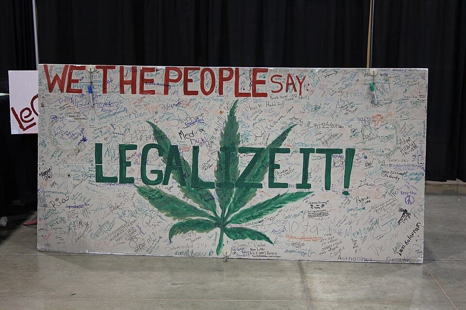 NORML Champions Ongoing Cannabis Reform Amid Legalization Challenges