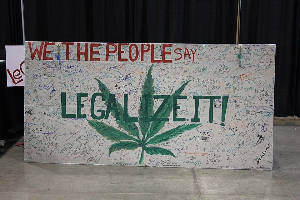 NORML defiende la reforma continua del cannabis ante desafíos de legalización