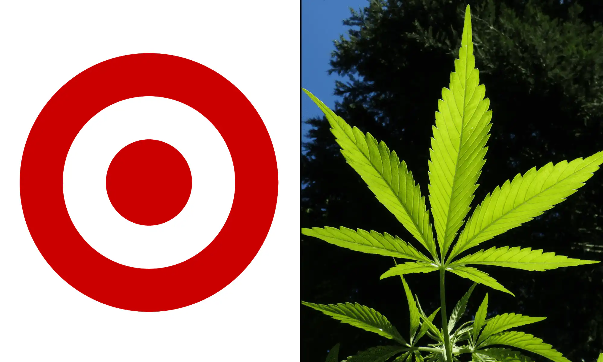 טארגט מרחיבה מכירת משקאות THC ממקור המפ באילינוי, פלורידה וטקסס