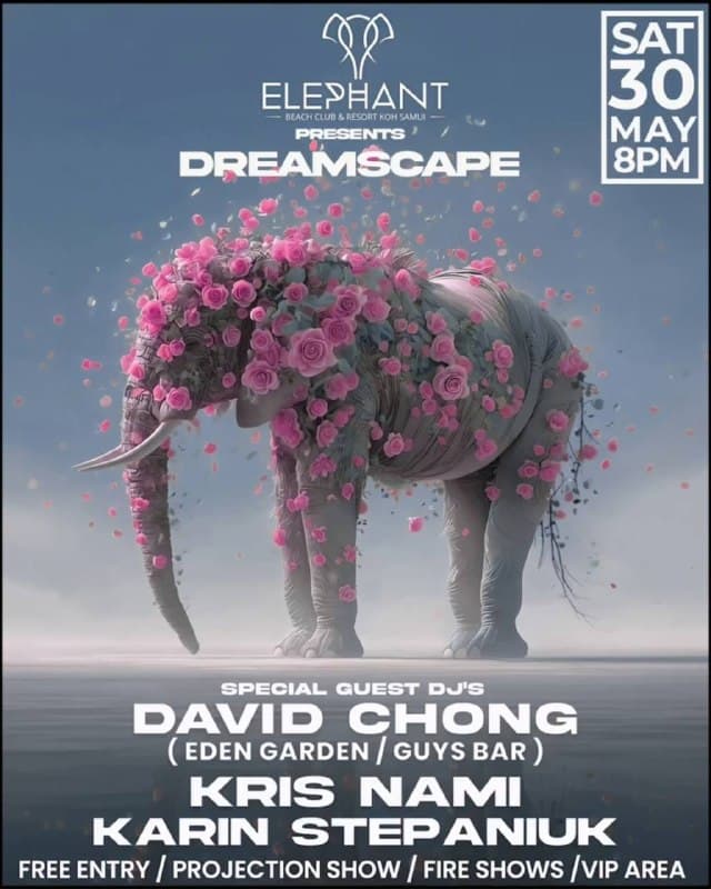 Dreamscape привносит электронные ритмы в Elephant Beach Club