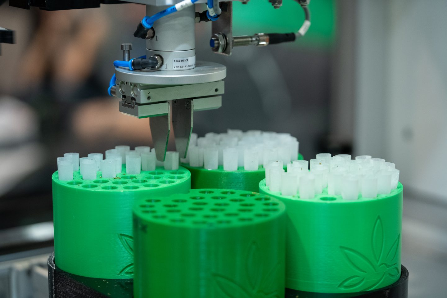 So erkennen und vermeiden Sie minderwertige Pre-Rolls beim Cannabiskonsum