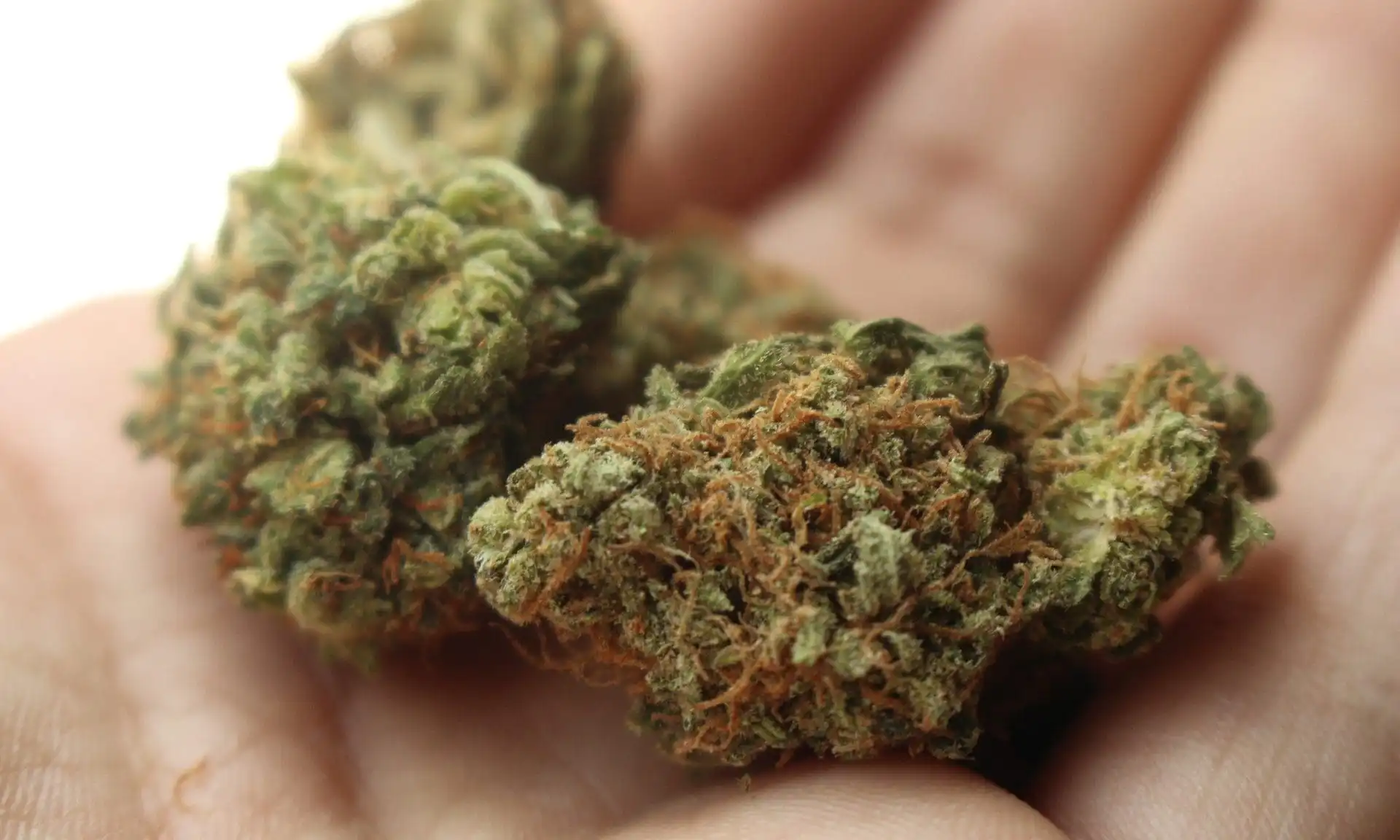DEA Confirms HHC Is Federally Illegal and Assigns Unique Drug Code