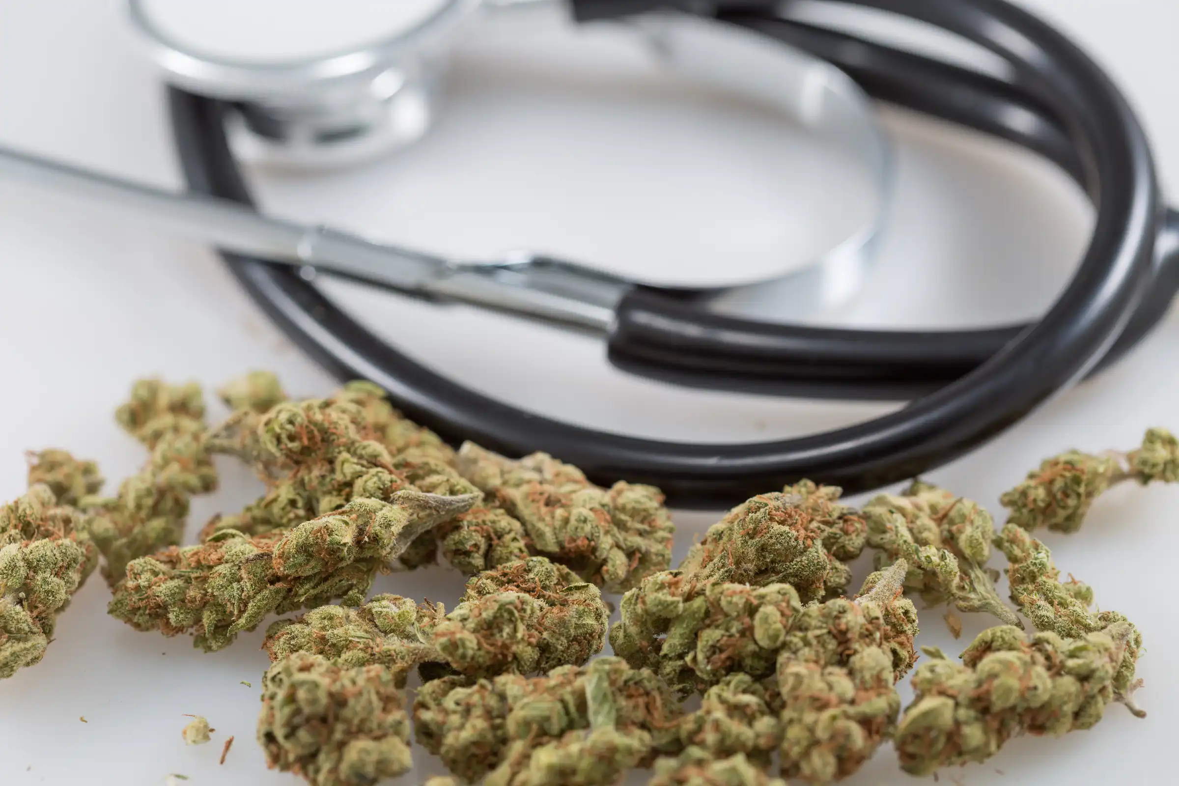 Trump Nominates Nicole Saphier as Surgeon General, Sparking Debate Over Cannabis Health Risks