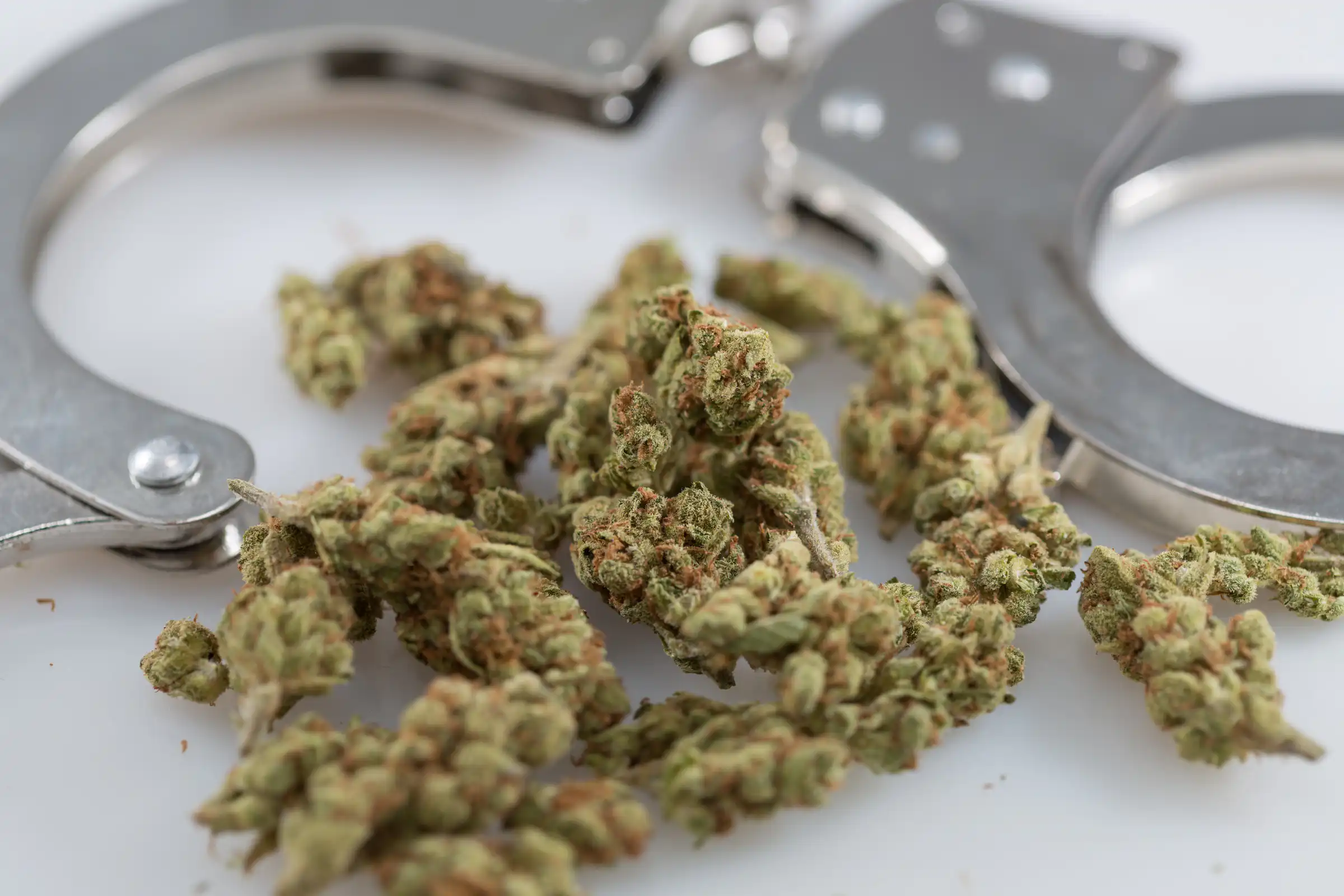 Polizia di Jersey City Rimane Fuori Servizio Dopo Sentenza a Favore sull'Uso di Cannabis