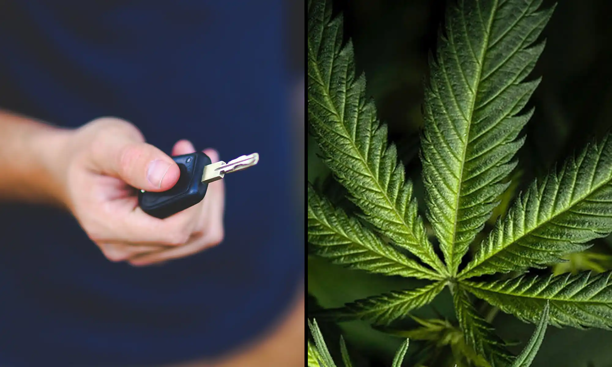 Il Congresso presenta un disegno di legge bipartisan per standard federali di guida sotto effetto di marijuana