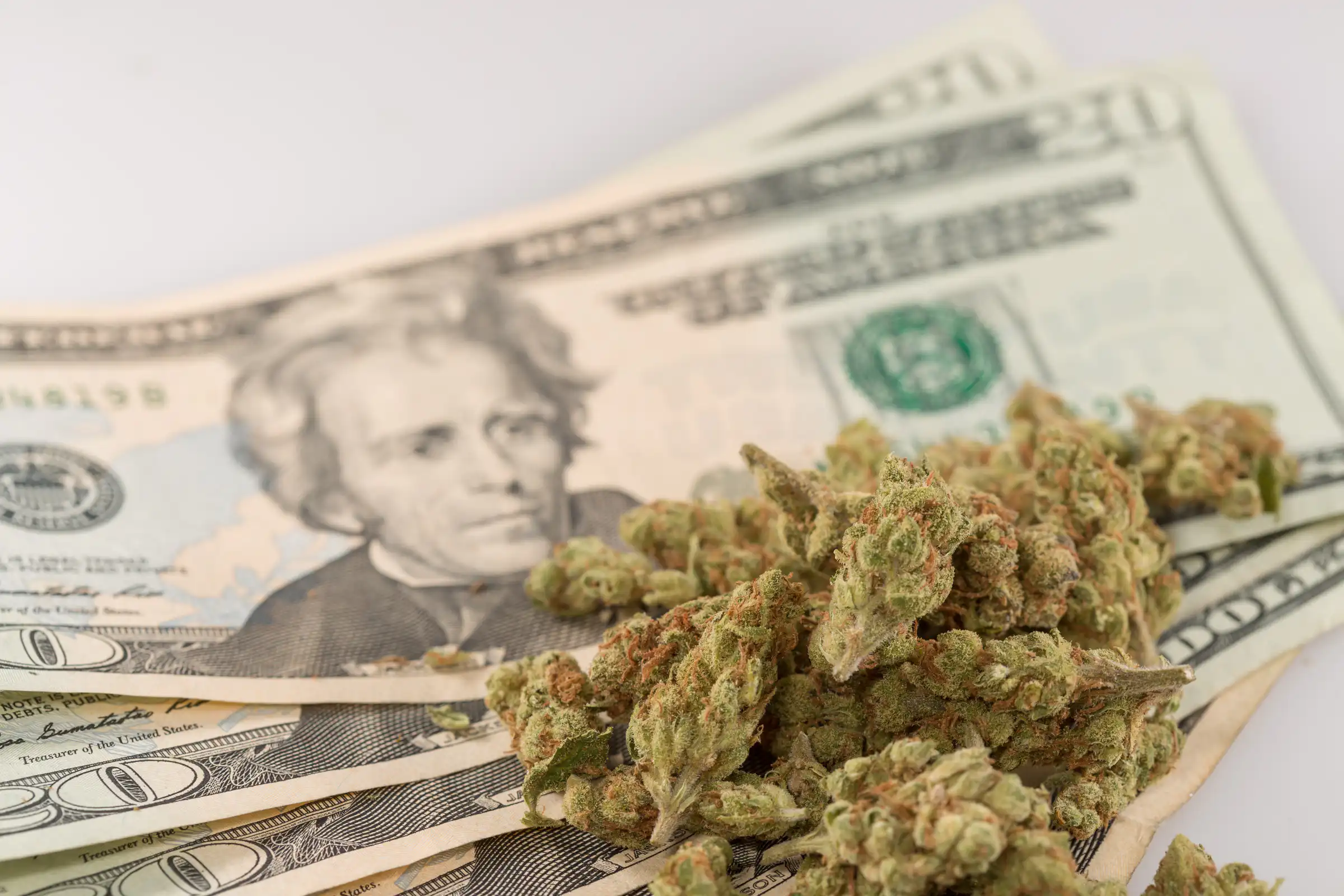 El senador Tim Scott pide legalización federal de la marihuana para resolver crisis bancaria