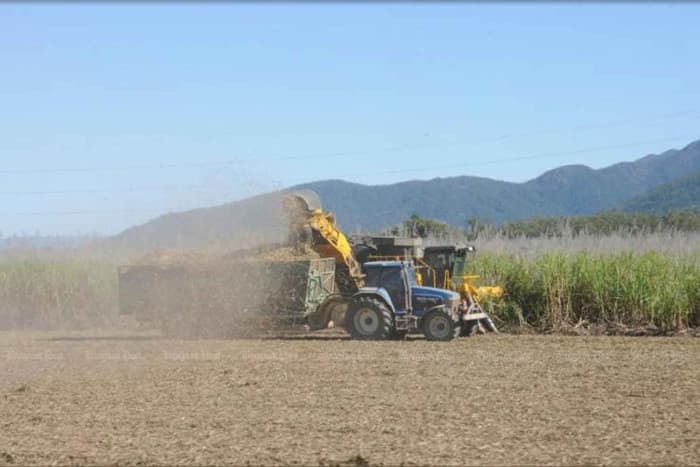 Khon Kaen University Launches Sugarcane Bio-Oil Project to Tackle Agricultural Waste