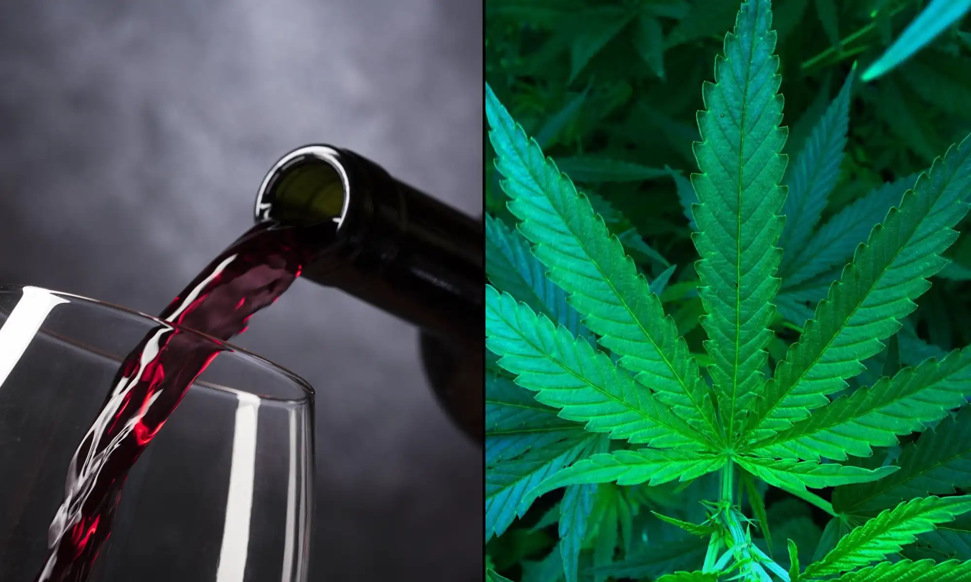 Alcohol Industry Group Criticizes Congress for Omitting Hemp THC Ban Delay from Farm Bill
