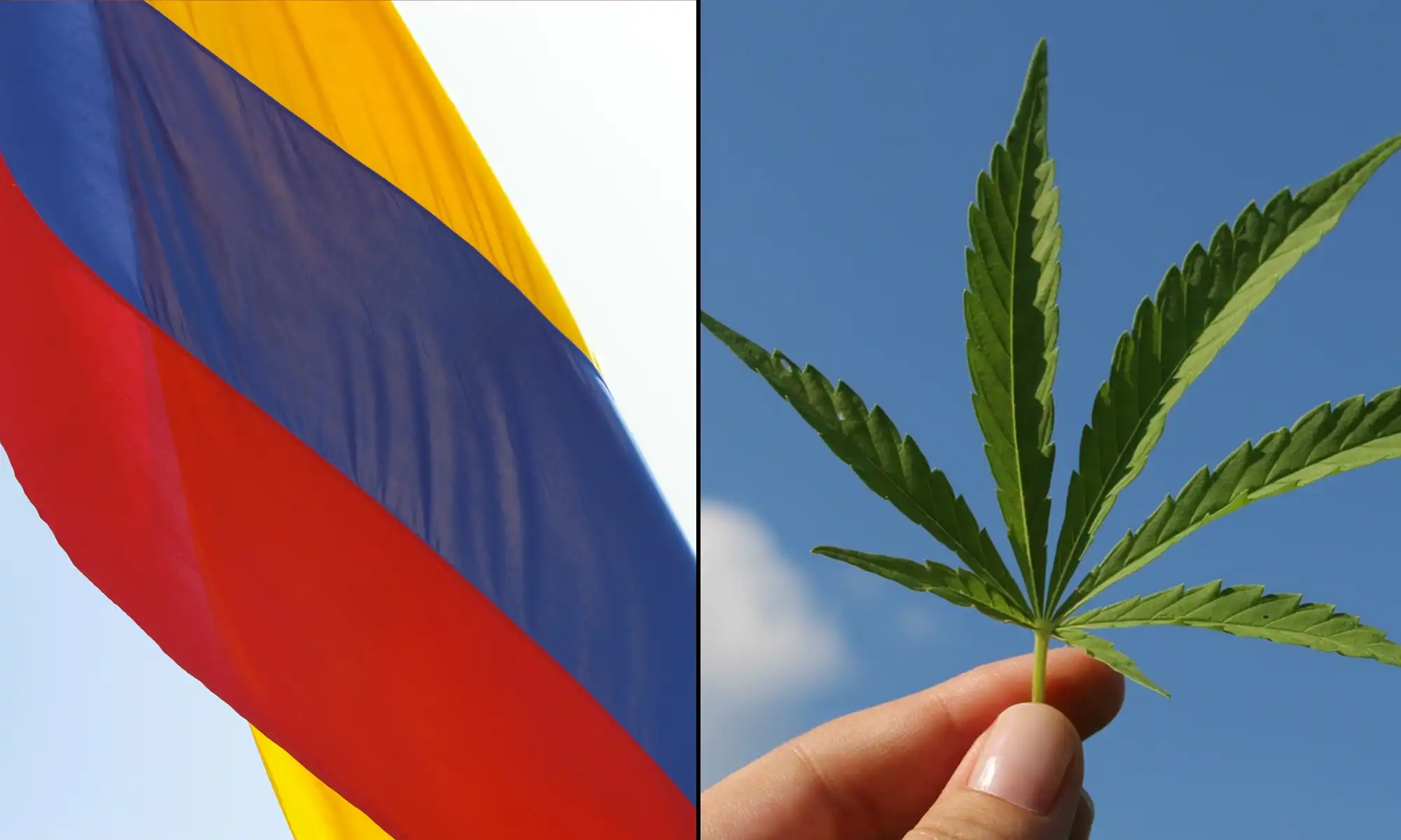 Colombian House Committee Approves Cannabis Legalization Bill Advancing Reform Efforts
